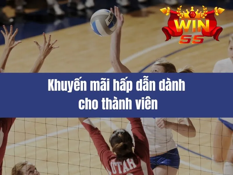 Thể Thao Win55